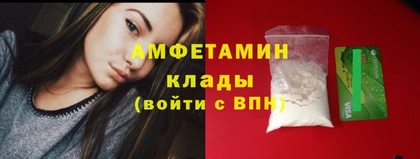 трава Наволоки
